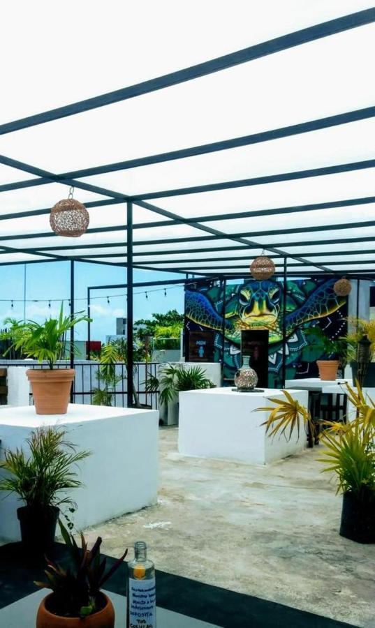 La Izsla Playa Del Carmen Hotel Exterior photo